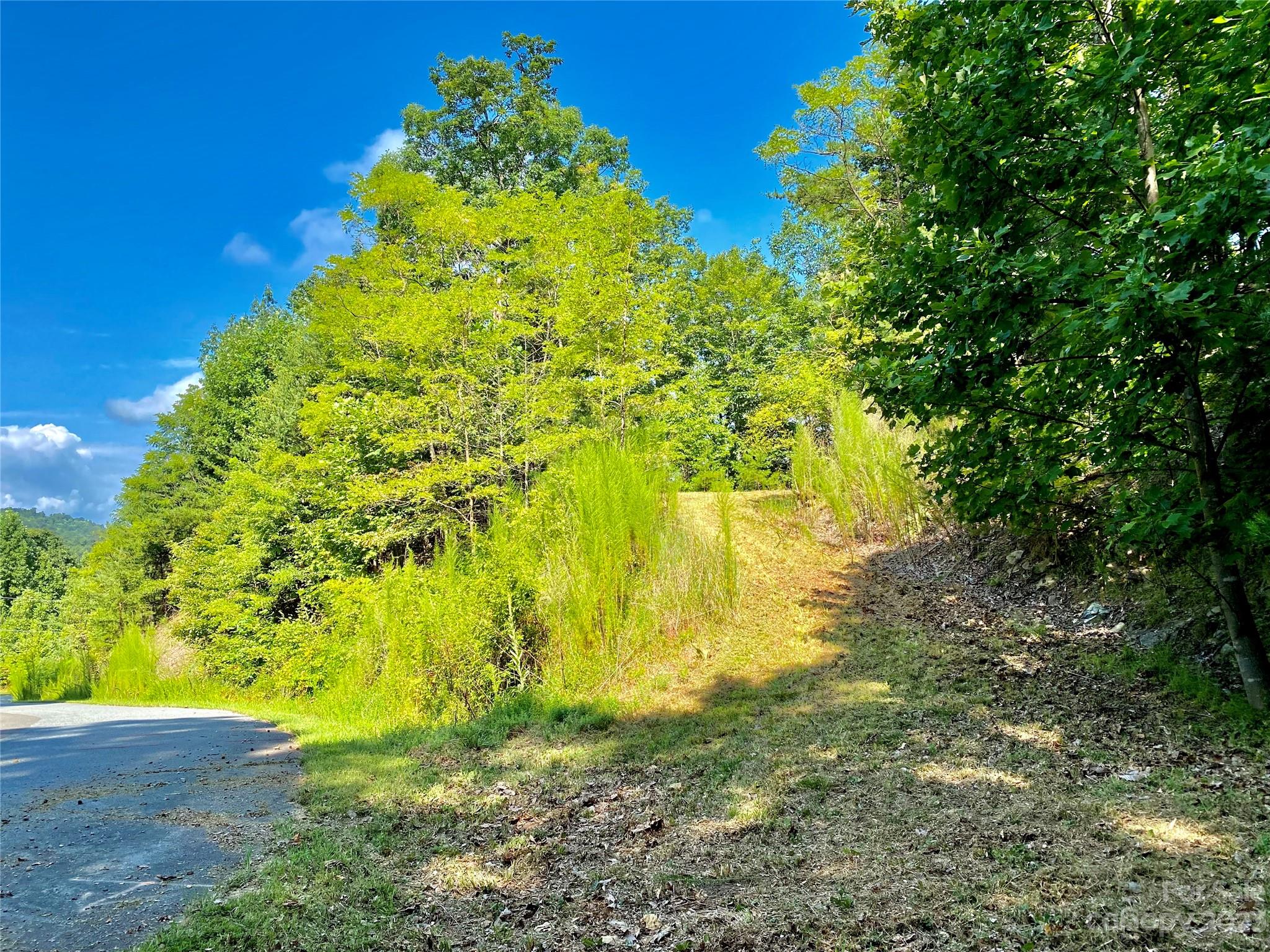 Lot 1 Pinnacle Drive Boomer NC 28665
