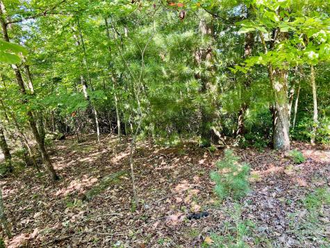 Lot 1 Pinnacle Drive Boomer NC 28665