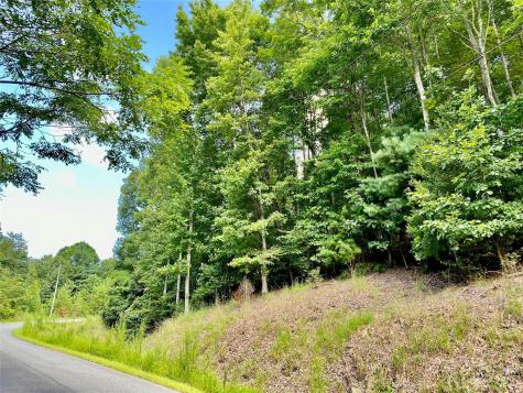 Lot 1 Pinnacle Drive Boomer NC 28665