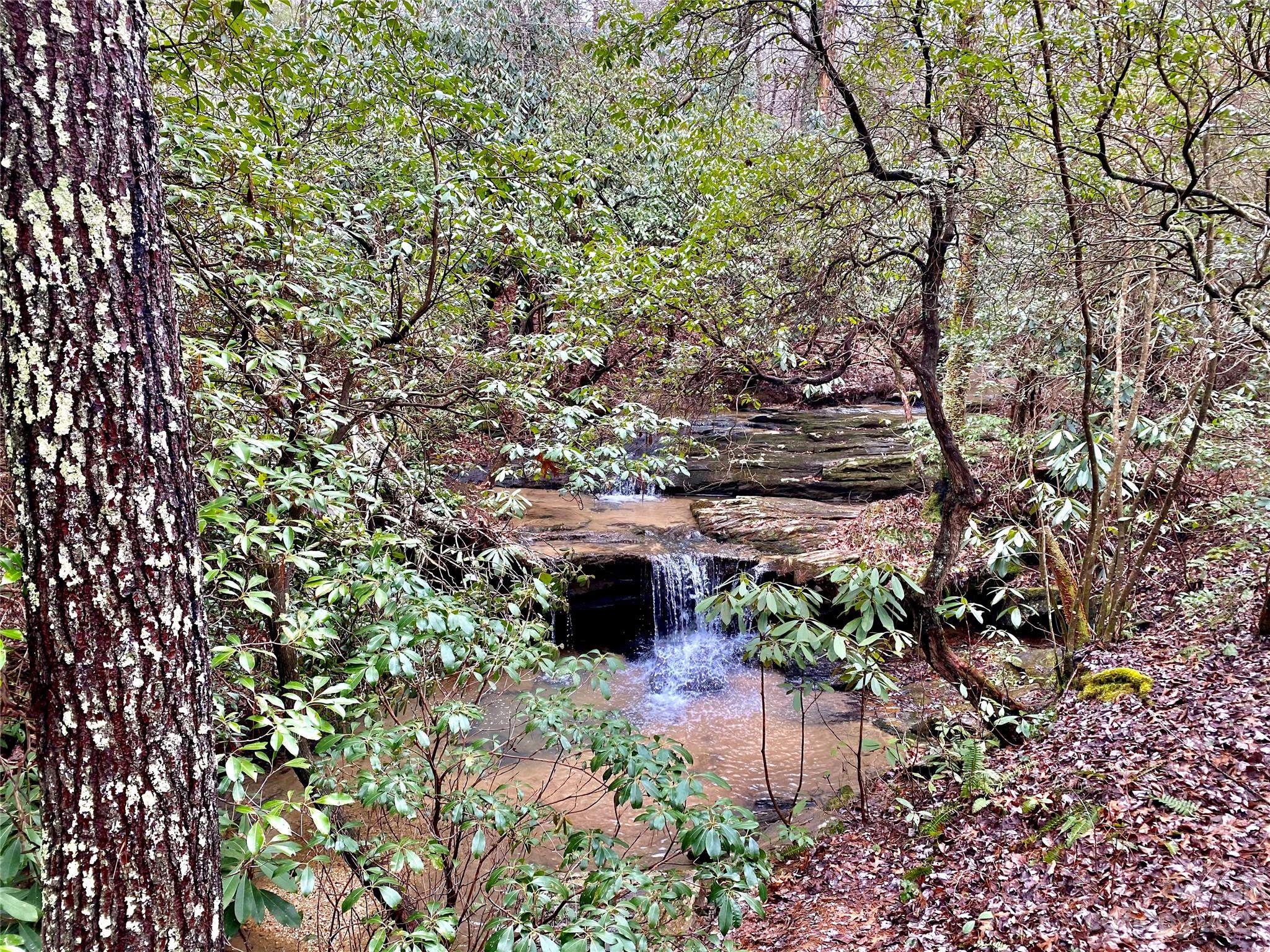Lot 1 Pinnacle Drive Boomer NC 28665