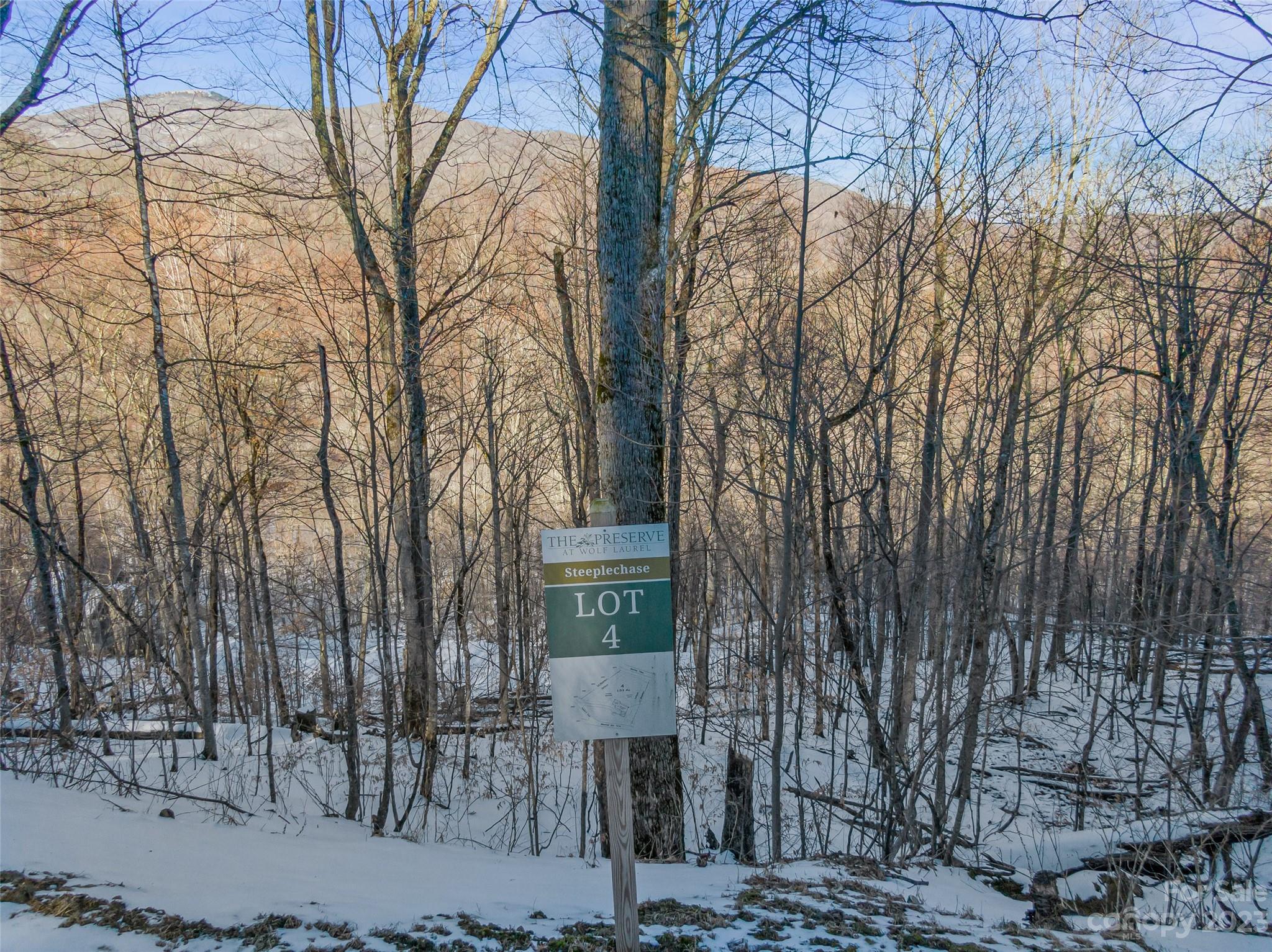 Lot 4 Mountain Gait Drive Mars Hill NC 28754