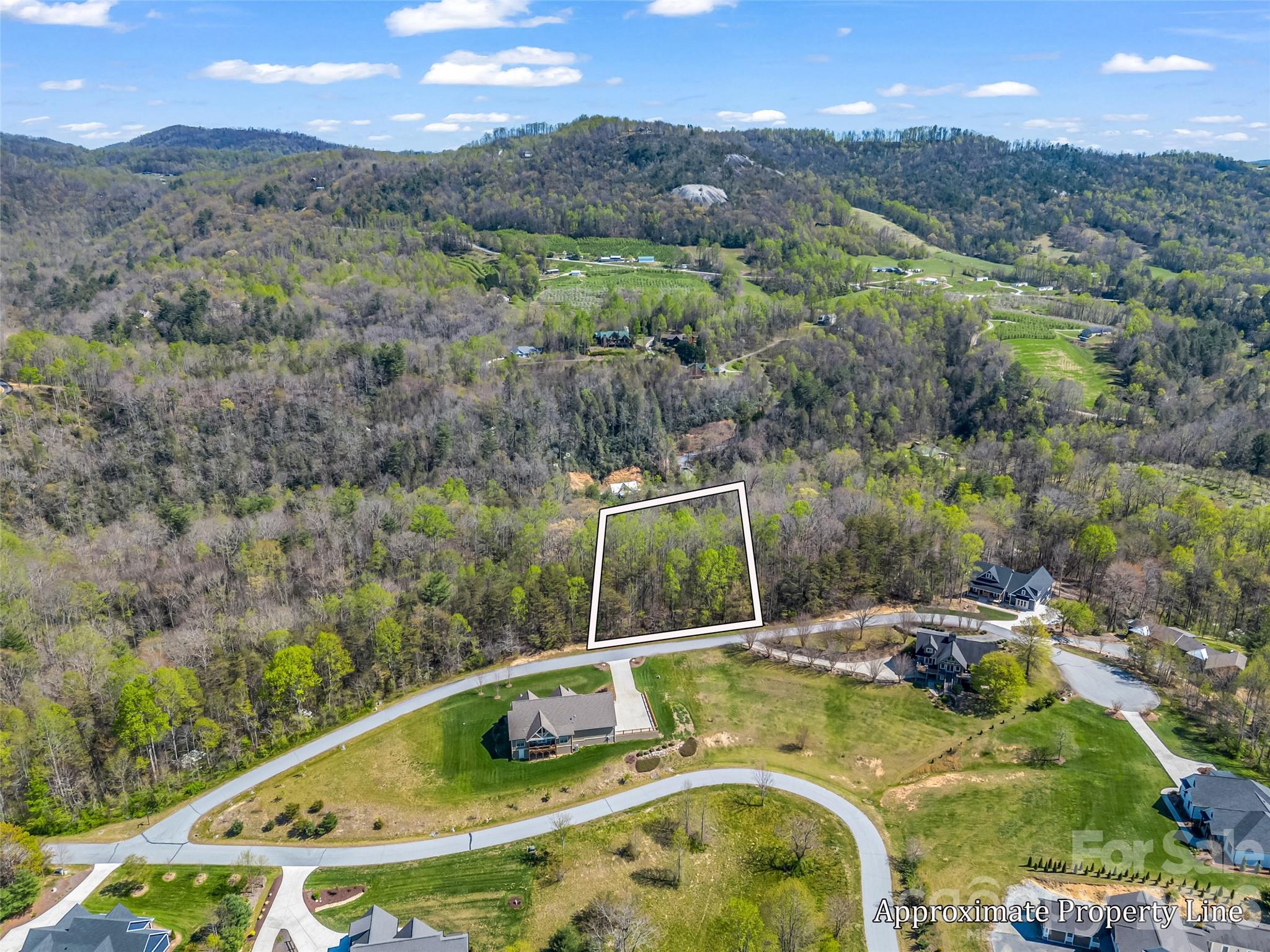 83 Sunny Morning Court Hendersonville NC 28792