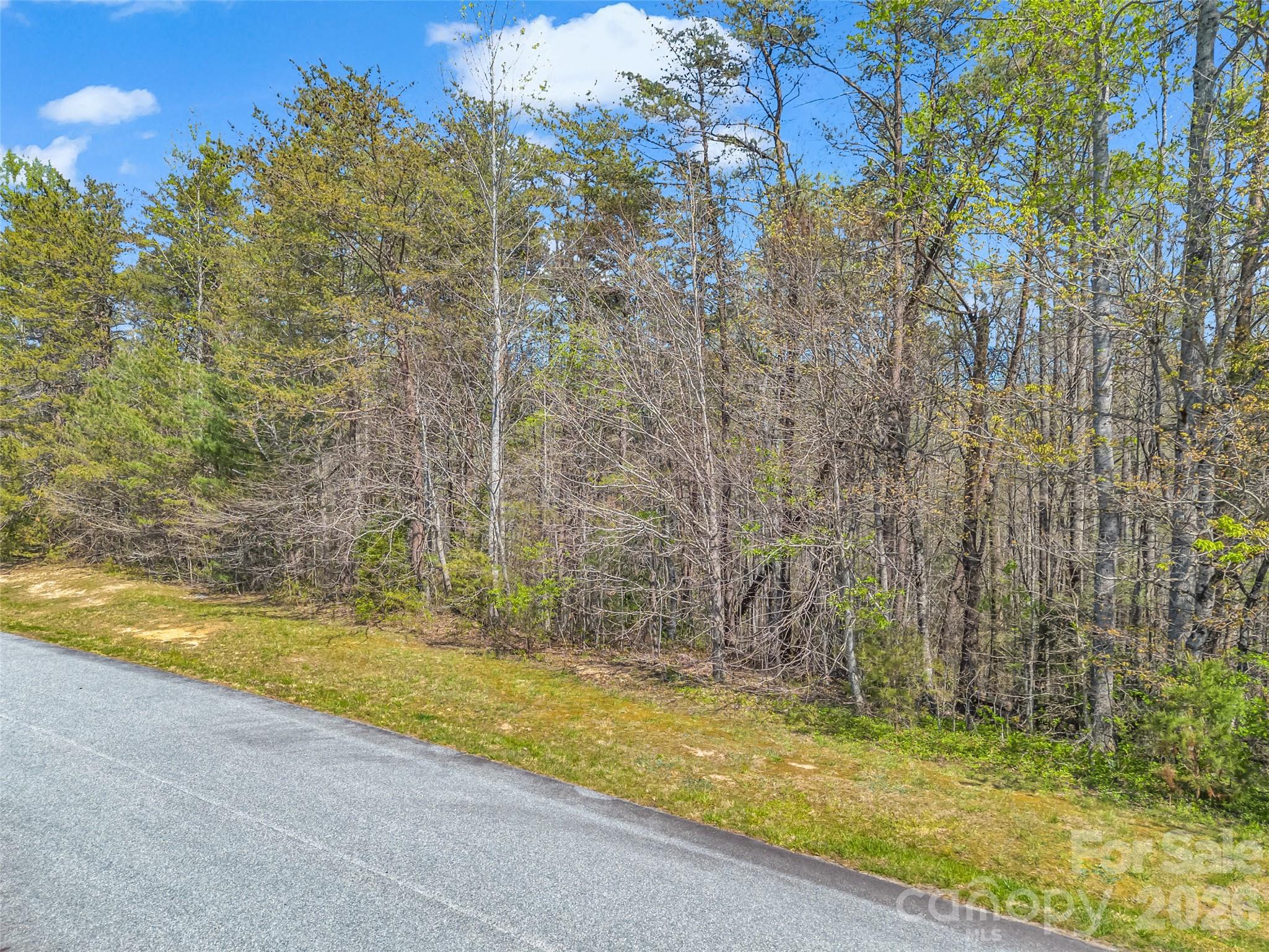 83 Sunny Morning Court Hendersonville NC 28792