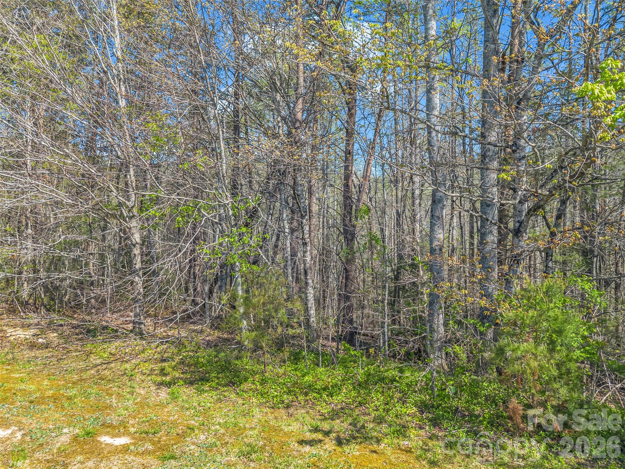 83 Sunny Morning Court Hendersonville NC 28792