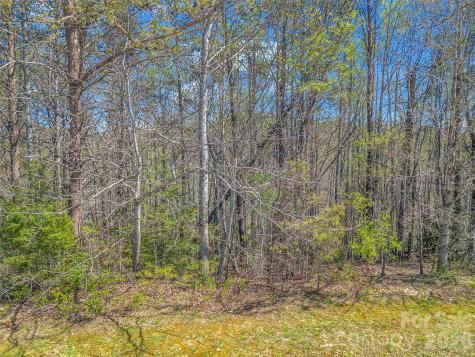 83 Sunny Morning Court Hendersonville NC 28792