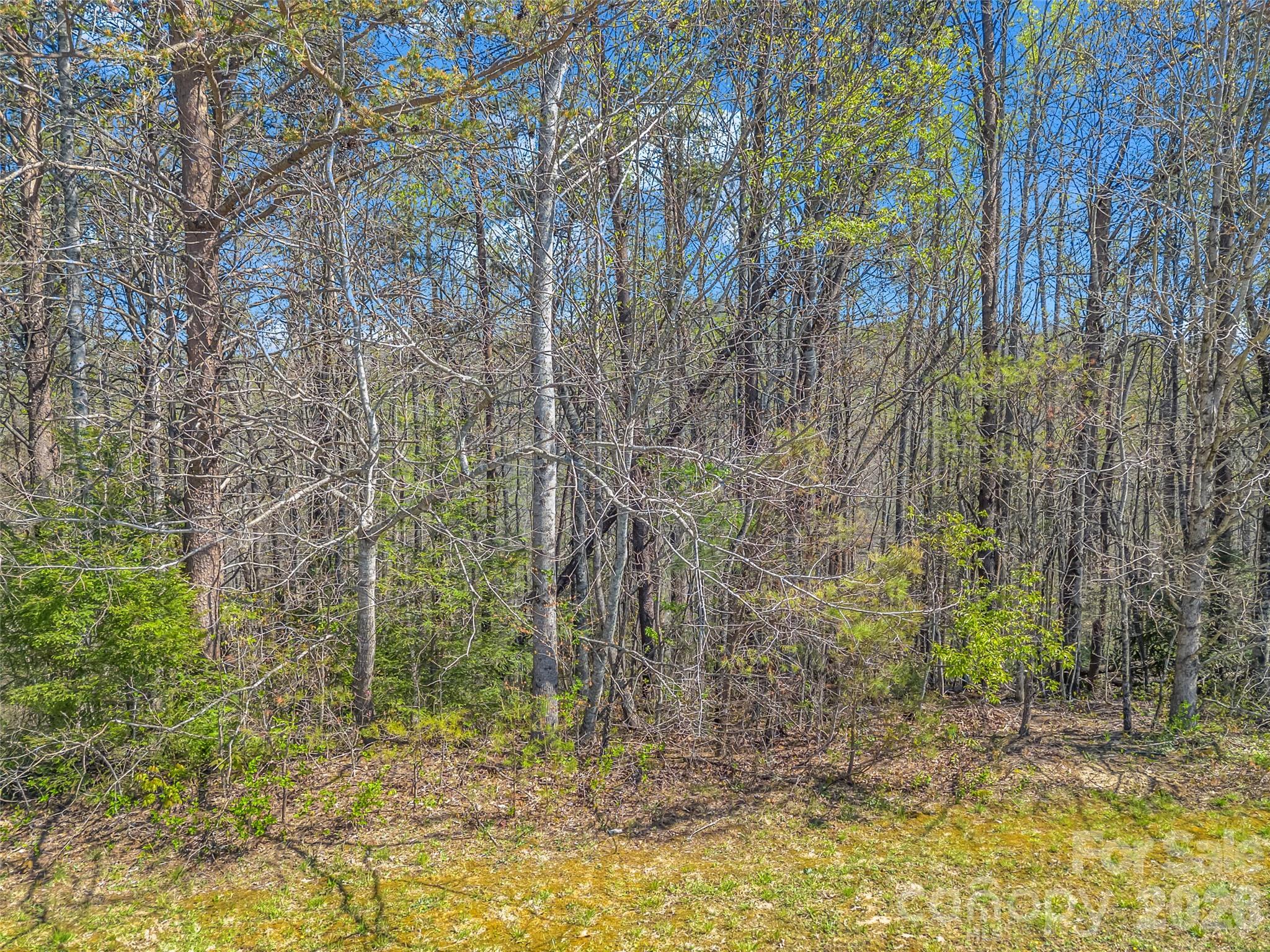 83 Sunny Morning Court Hendersonville NC 28792