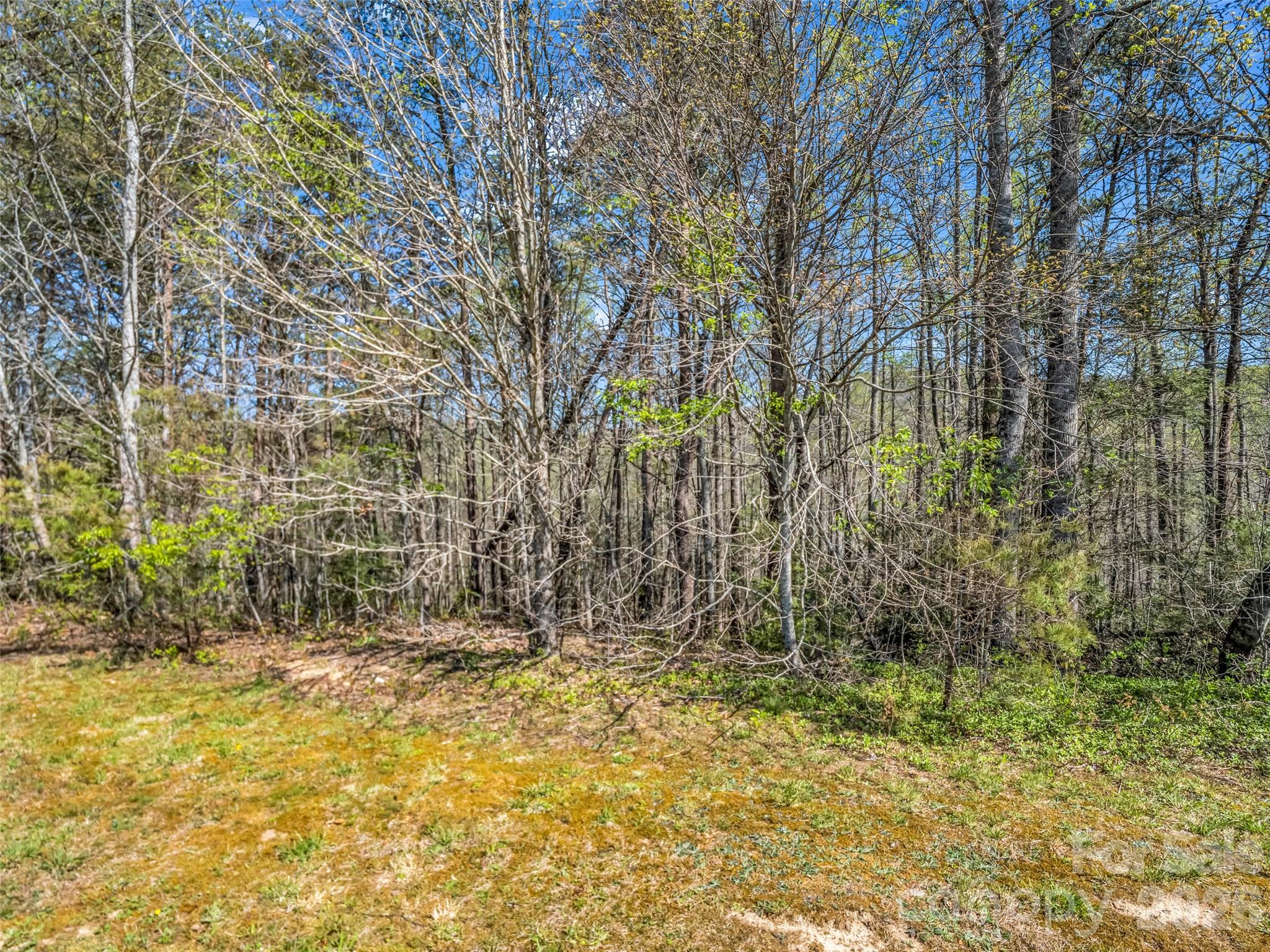 83 Sunny Morning Court Hendersonville NC 28792