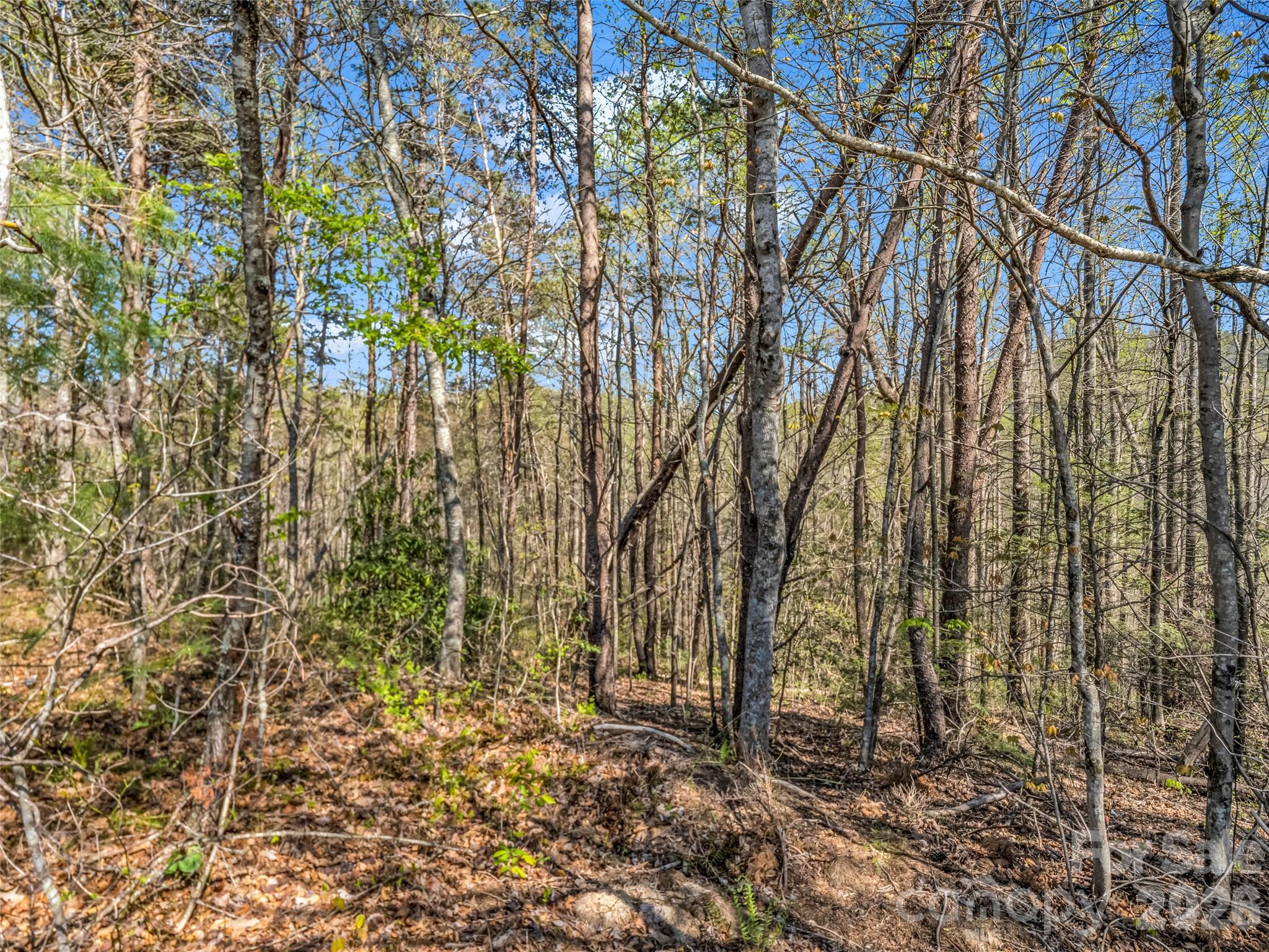 83 Sunny Morning Court Hendersonville NC 28792