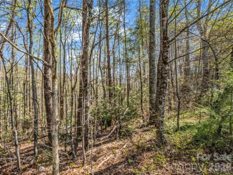 83 Sunny Morning Court Hendersonville NC 28792