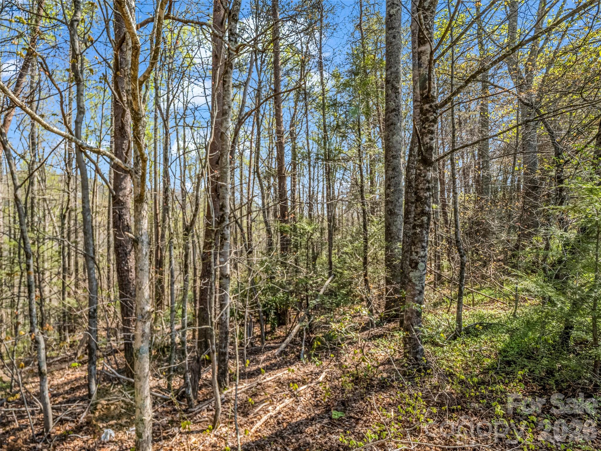 83 Sunny Morning Court Hendersonville NC 28792