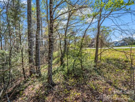 83 Sunny Morning Court Hendersonville NC 28792
