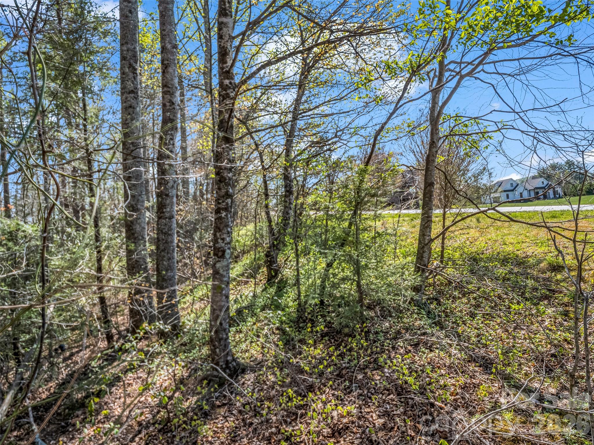 83 Sunny Morning Court Hendersonville NC 28792