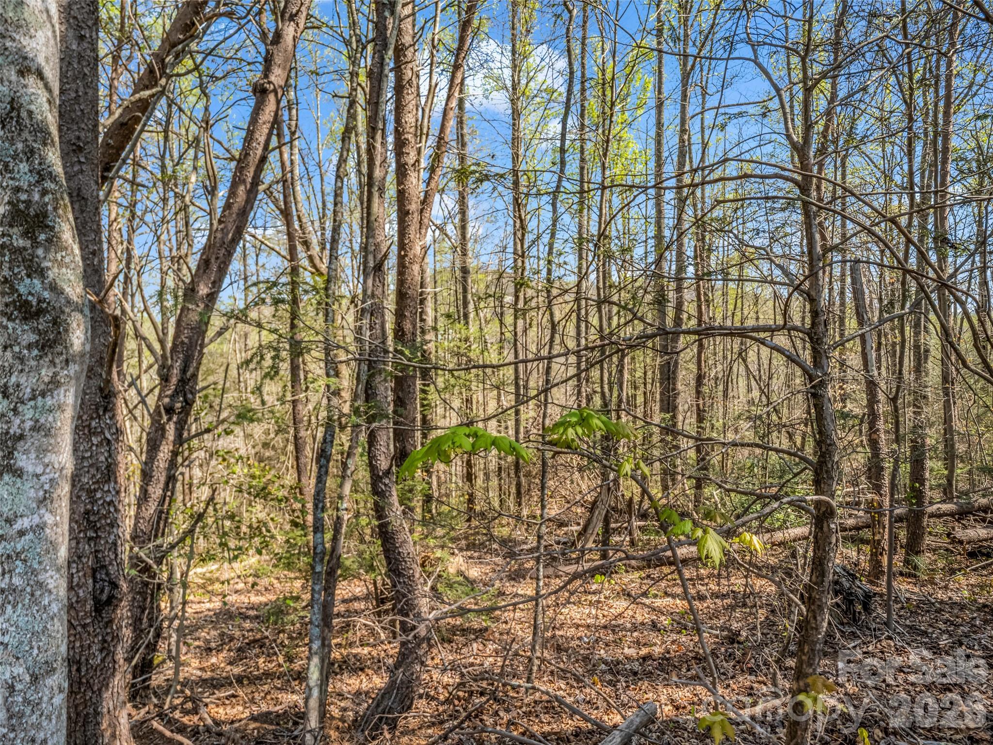 83 Sunny Morning Court Hendersonville NC 28792