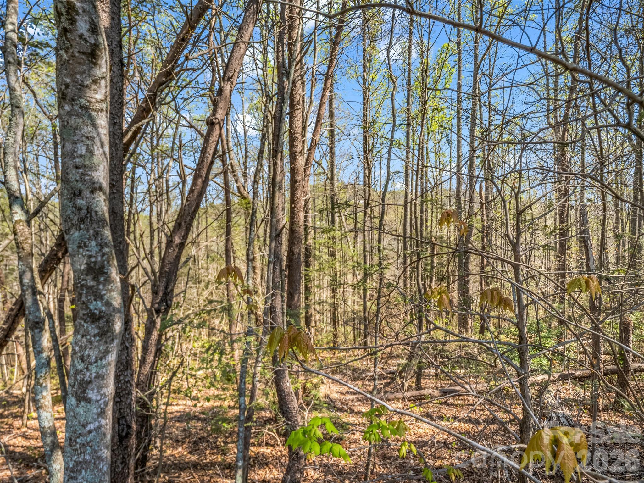 83 Sunny Morning Court Hendersonville NC 28792