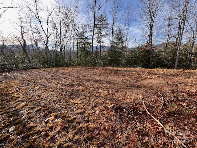 Lot 2 Tobacco Branch Road Almond NC 28702