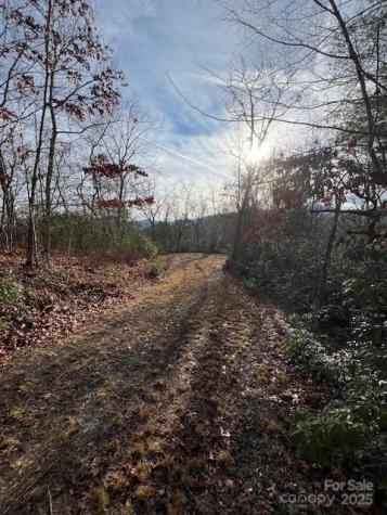 Lot 2 Tobacco Branch Road Almond NC 28702