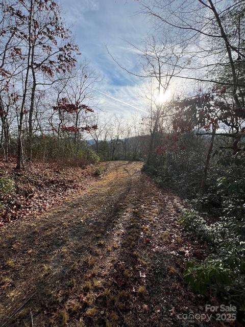 Lot 2 Tobacco Branch Road Almond NC 28702