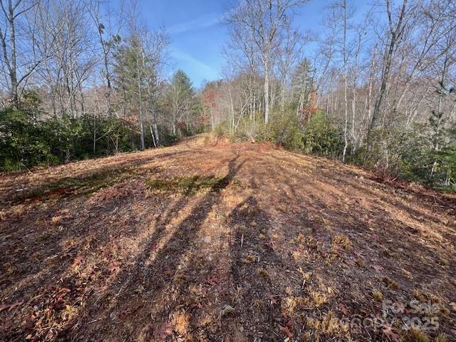 Lot 2 Tobacco Branch Road Almond NC 28702