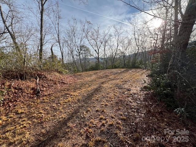 Lot 2 Tobacco Branch Road Almond NC 28702
