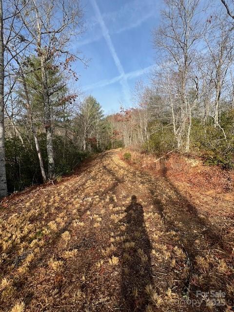 Lot 2 Tobacco Branch Road Almond NC 28702