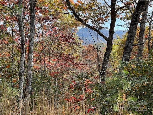 Lot 2 Tobacco Branch Road Almond NC 28702