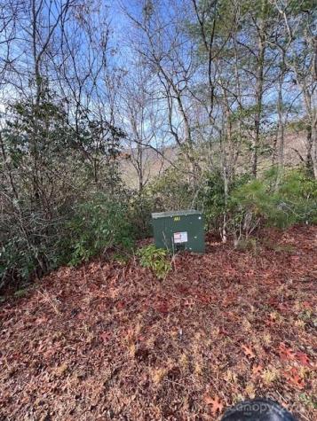 Lot 2 Tobacco Branch Road Almond NC 28702