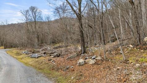 Tbd Live Oak Loop Waynesville NC 28785
