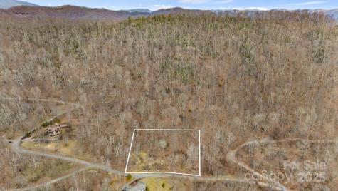 Tbd Live Oak Loop Waynesville NC 28785