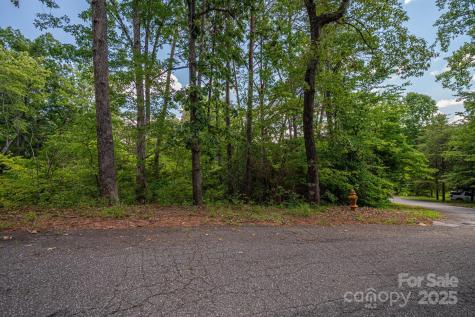 Lot 207 Plantation Drive Rutherfordton NC 28139