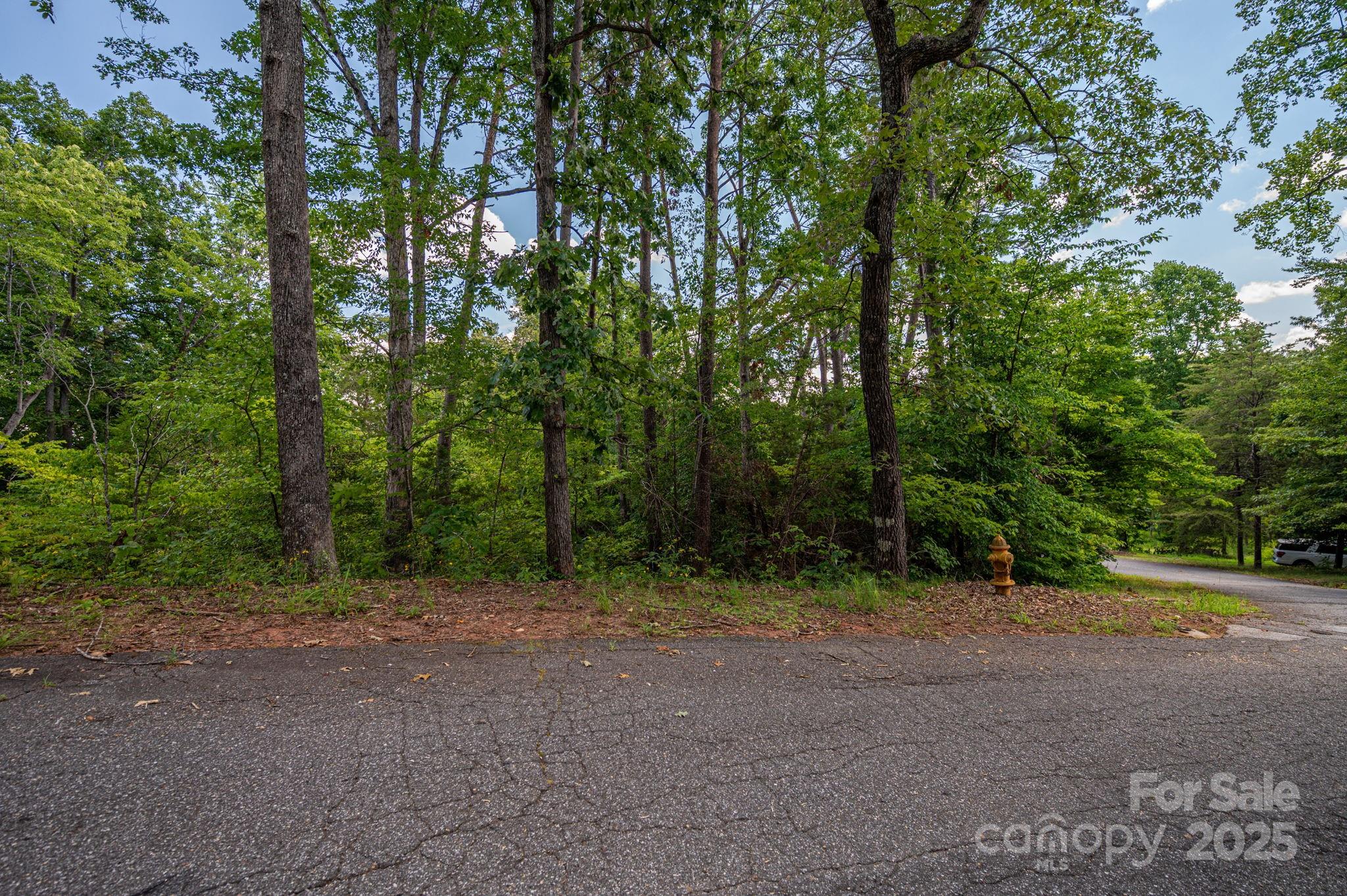 Lot 207 Plantation Drive Rutherfordton NC 28139