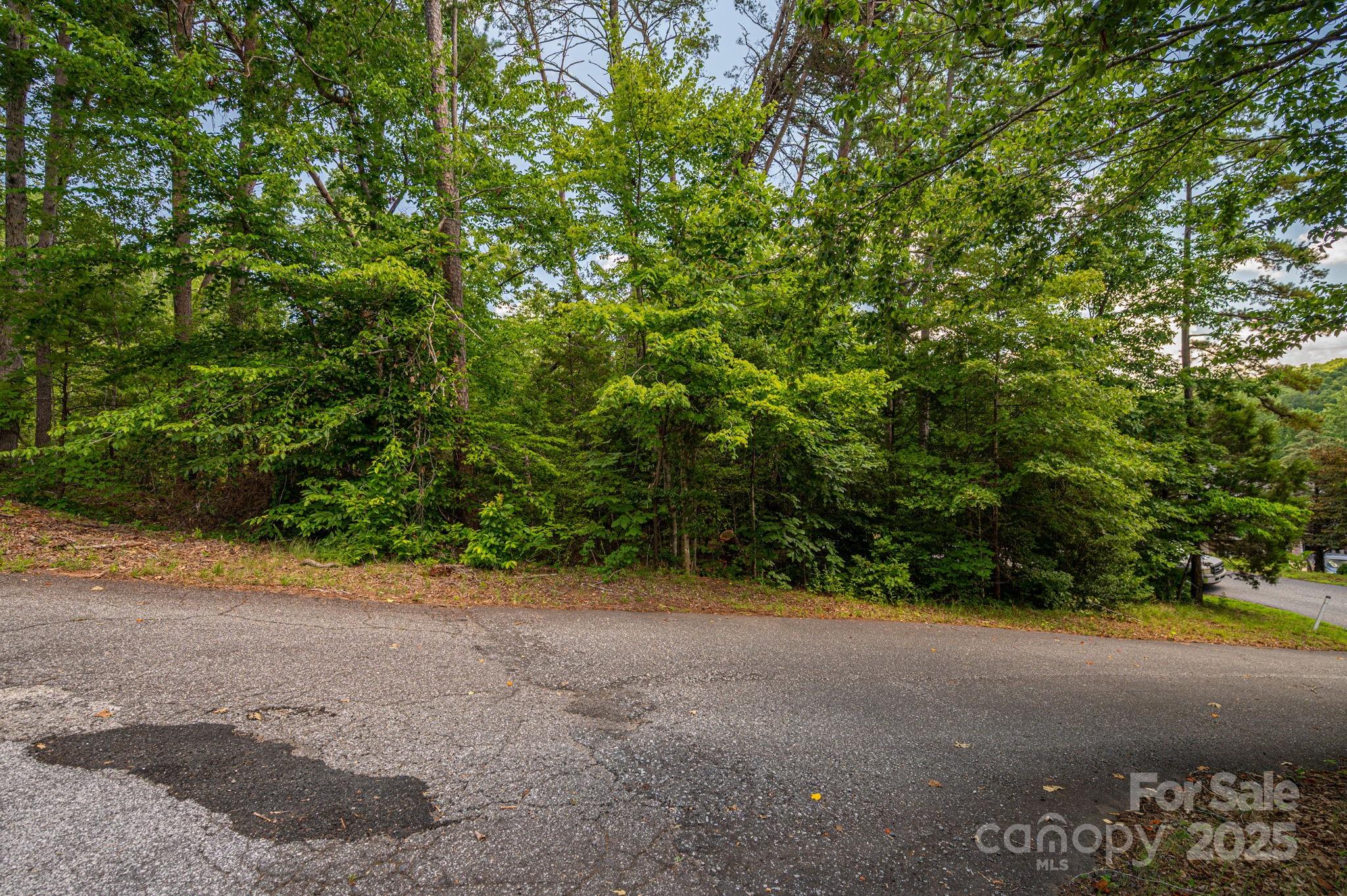 Lot 207 Plantation Drive Rutherfordton NC 28139