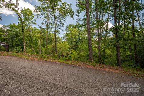 Lot 207 Plantation Drive Rutherfordton NC 28139
