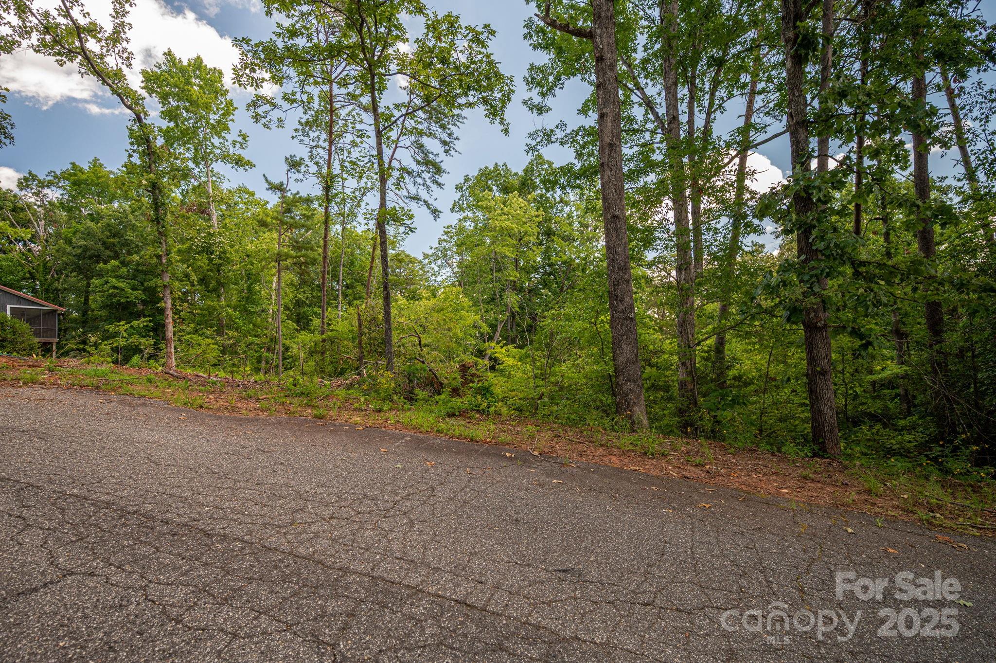Lot 207 Plantation Drive Rutherfordton NC 28139
