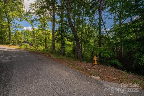 Lot 207 Plantation Drive Rutherfordton NC 28139
