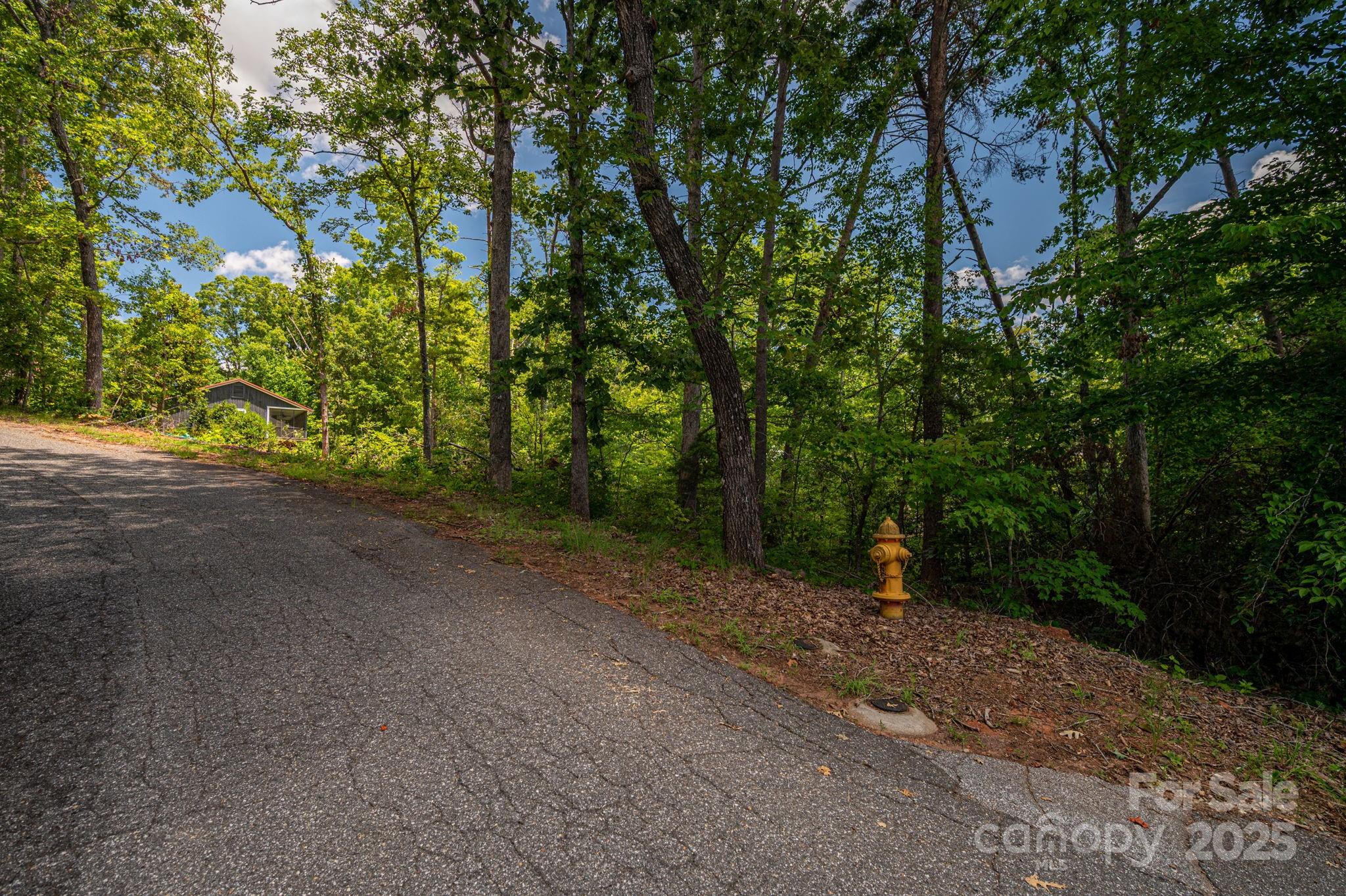 Lot 207 Plantation Drive Rutherfordton NC 28139