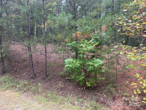 9587 Shortoff View Terrace Nebo NC 28761