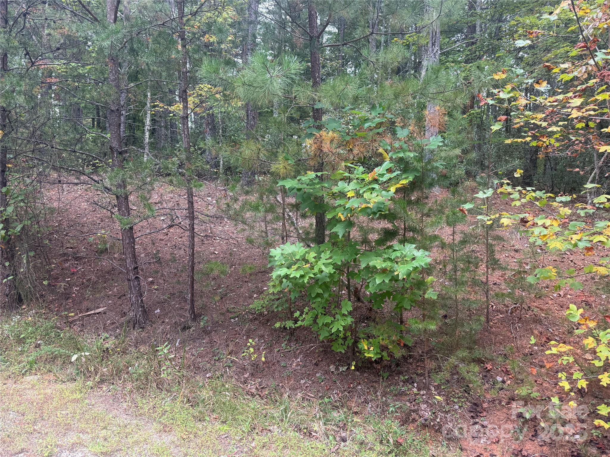 9587 Shortoff View Terrace Nebo NC 28761