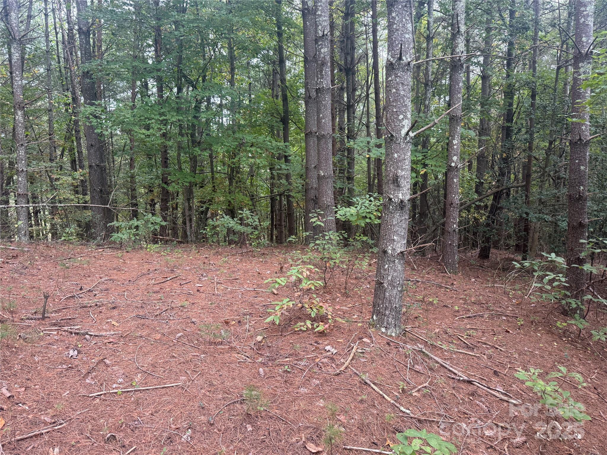 9587 Shortoff View Terrace Nebo NC 28761