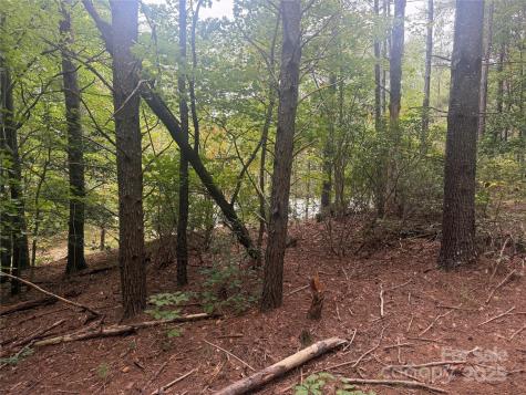 9587 Shortoff View Terrace Nebo NC 28761