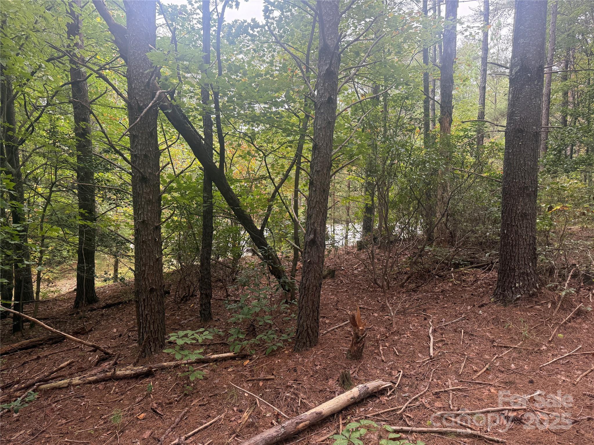 9587 Shortoff View Terrace Nebo NC 28761