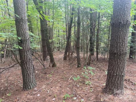 9587 Shortoff View Terrace Nebo NC 28761