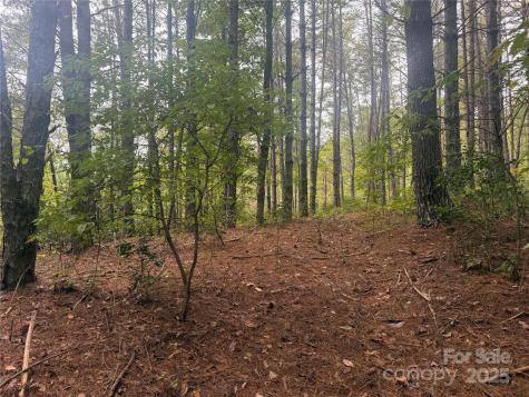 9587 Shortoff View Terrace Nebo NC 28761