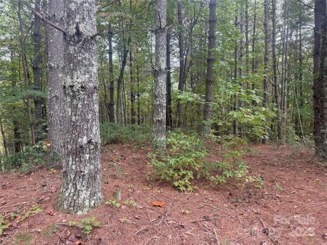 9587 Shortoff View Terrace Nebo NC 28761