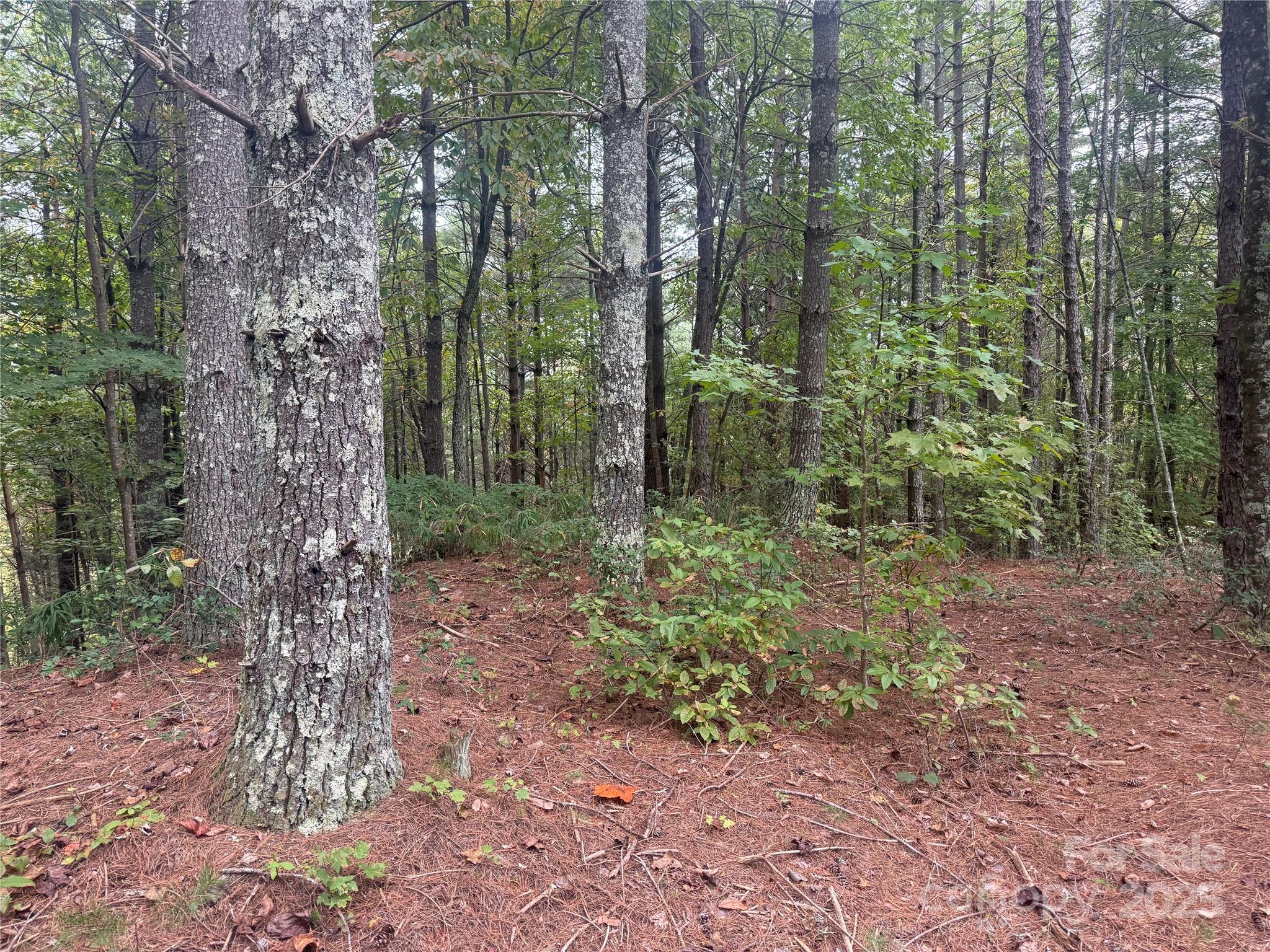 9587 Shortoff View Terrace Nebo NC 28761