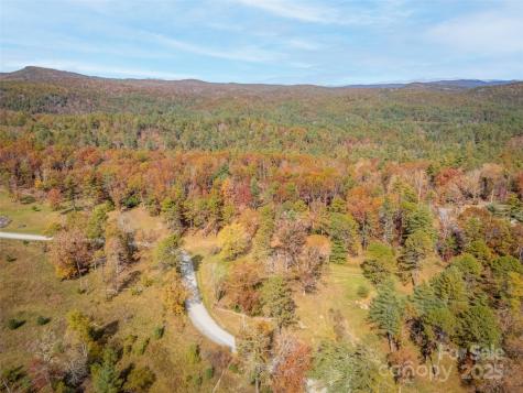 Lot 2-A Clearview Drive Cedar Mountain NC 28718