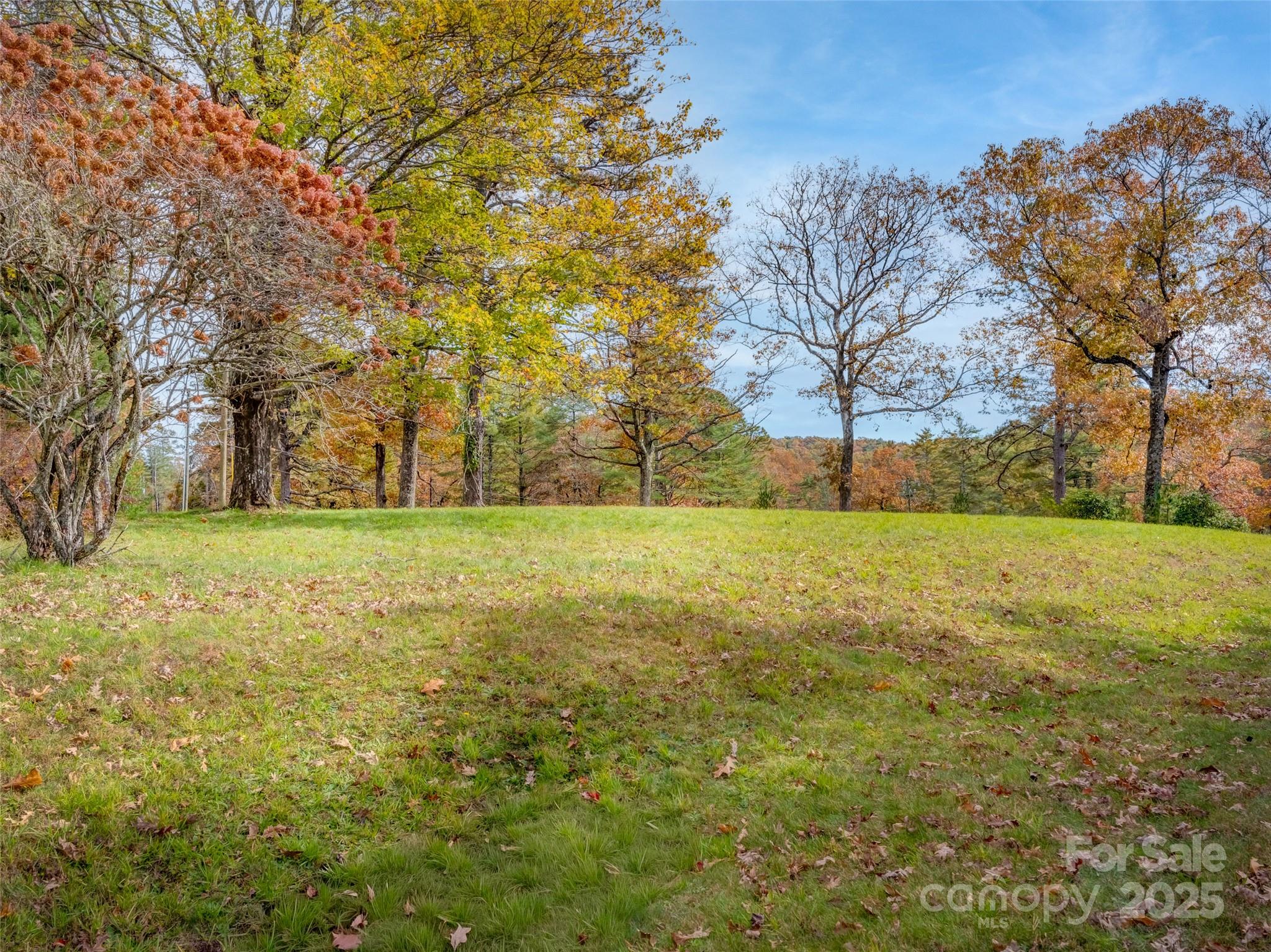 Lot 2-a Clearview Drive Cedar Mountain NC 28718