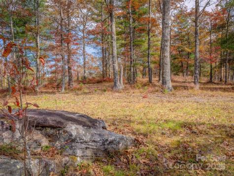 Lot 2-a Clearview Drive Cedar Mountain NC 28718