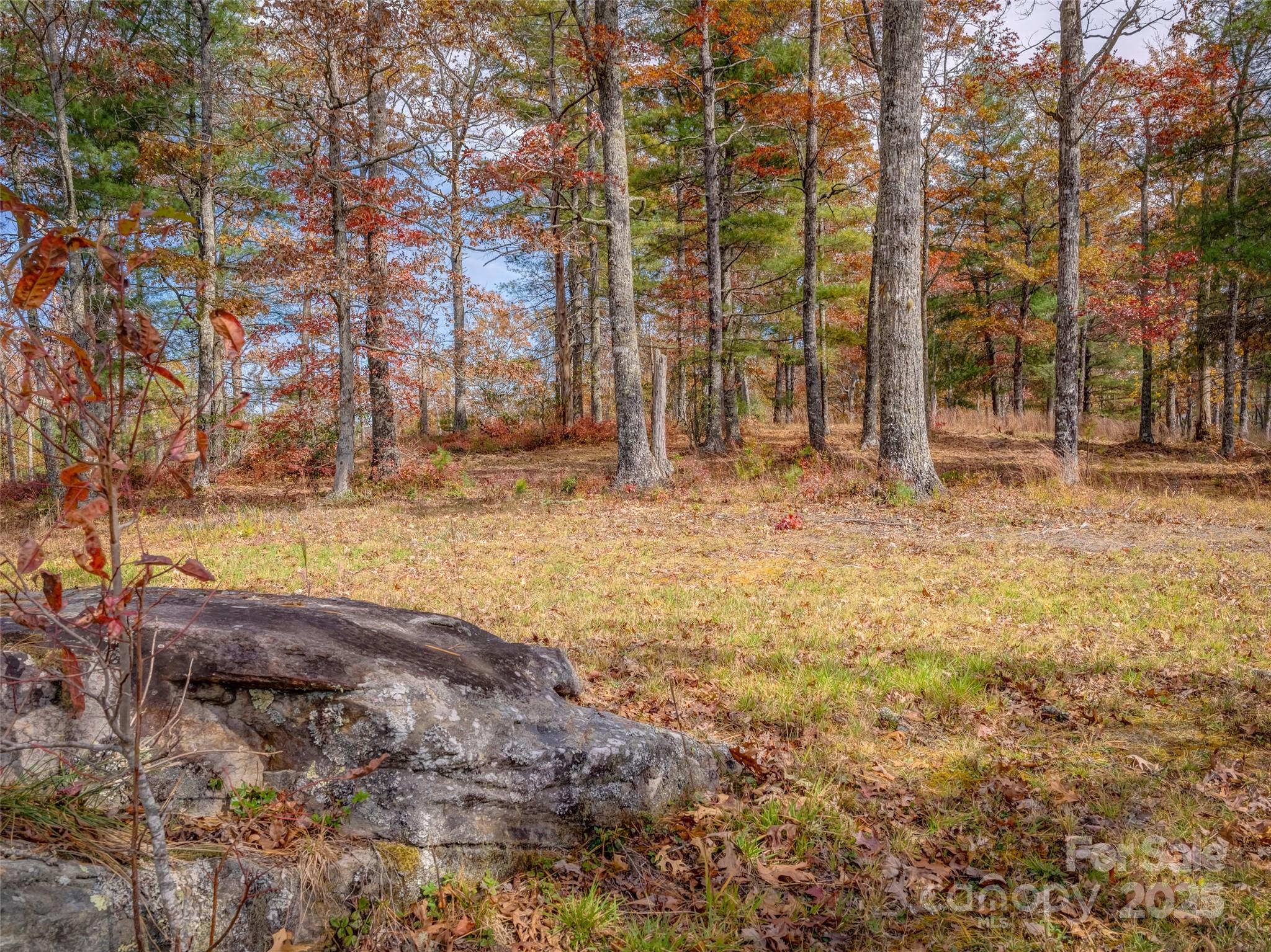 Lot 2-a Clearview Drive Cedar Mountain NC 28718