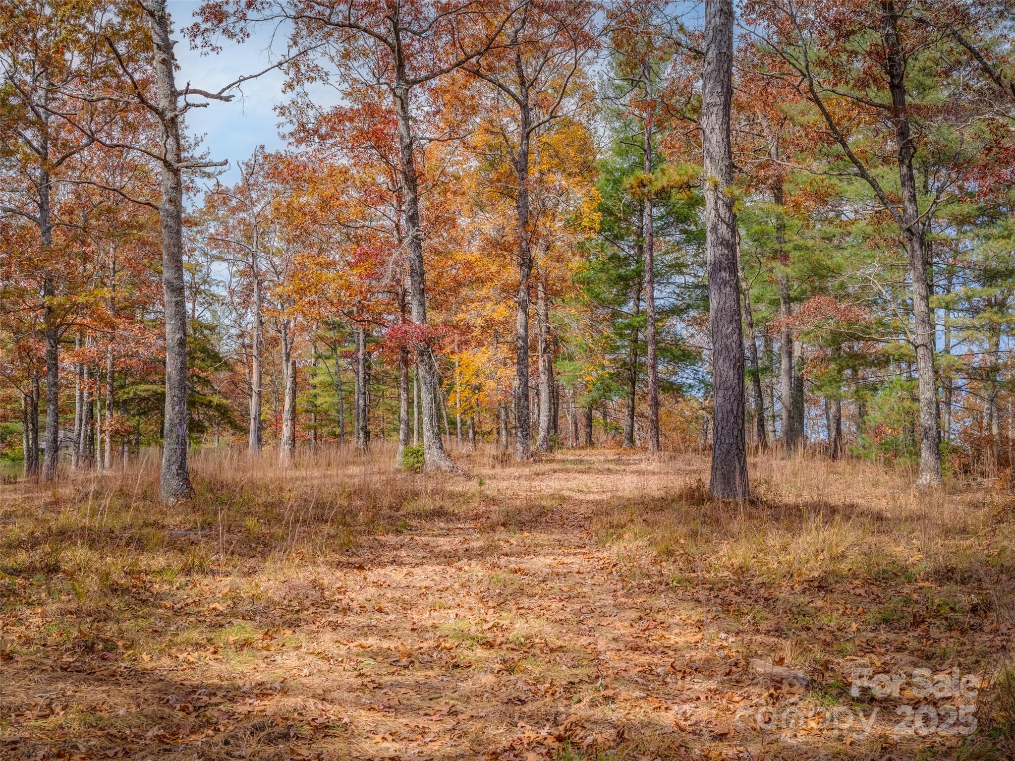 Lot 2-a Clearview Drive Cedar Mountain NC 28718