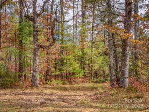 Lot 2-a Clearview Drive Cedar Mountain NC 28718